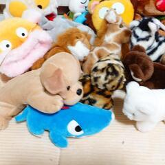 【決定しました】ぬいぐるみ 差し上げます 23点の画像