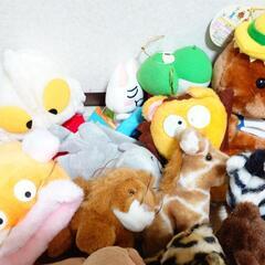 【決定しました】ぬいぐるみ 差し上げます 23点の画像