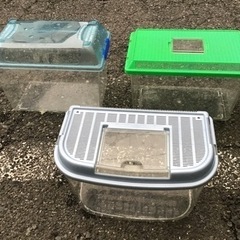 難あり。虫かごセット