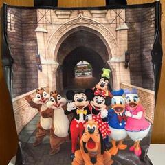 imagining the Magic   トートバッグの画像