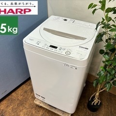 I506 🌈 SHARP 洗濯機 （4.5㎏） ⭐ 動作確認済 ⭐ クリーニング済