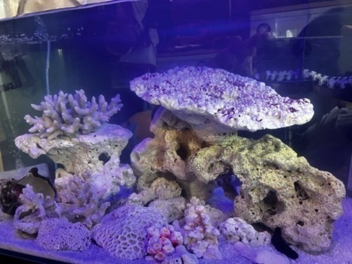 おもちゃ パズル