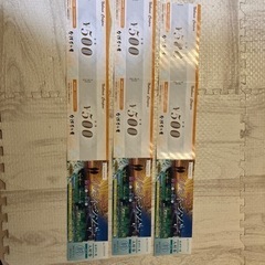なばなの里　入村券