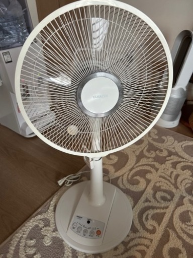 家電 季節、空調家電 扇風機