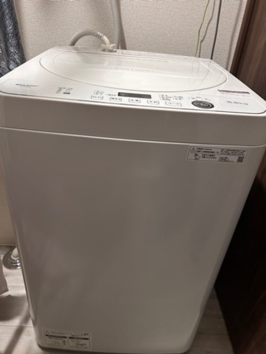 家電 生活家電 洗濯機