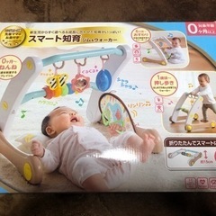 スマート知育　ジム&ウォーカー　美品