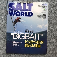 無料 釣り雑誌　枻出版社　SALT WORLD 5冊組の画像