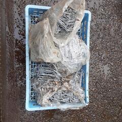 農業　資材　パイプバンド　ビニールハウス　用　パイプ　フック　の画像