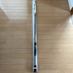 イイダコ＆投げ竿の画像
