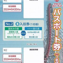 ナガシマスパーランド　パスポート　1枚