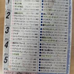 古いカセットテープの画像
