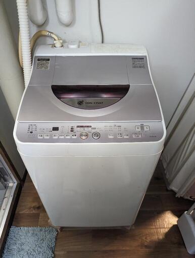 家電 生活家電 洗濯機