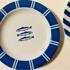 パスタ皿5枚セット
の画像