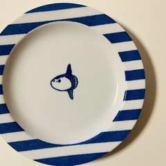 パスタ皿5枚セット
の画像