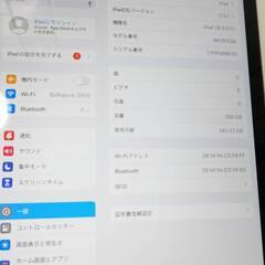 【Wi-Fiモデル】iPad 第9世代/256GB/A2602 (MK2N3J/A) の画像