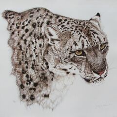 野生動物の女流巨匠!ジャッキーマリーヴォーグ「スノーレパード」オ...