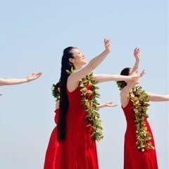 【左京区】【フラダンス教室】【京都岩倉クラス】の画像