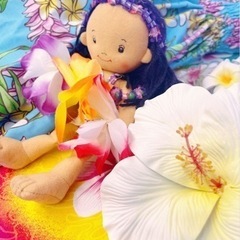 【左京区】【フラダンス教室】【京都岩倉クラス】の画像