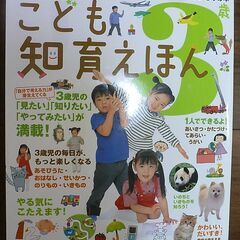 幼児向け本セット２２冊の画像