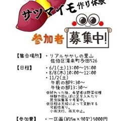 さつま芋作り体験⭐️募集中！⚠️定員に達しましたので募集を締め切...