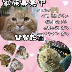 🌸幸せになりました🎀ひなた君