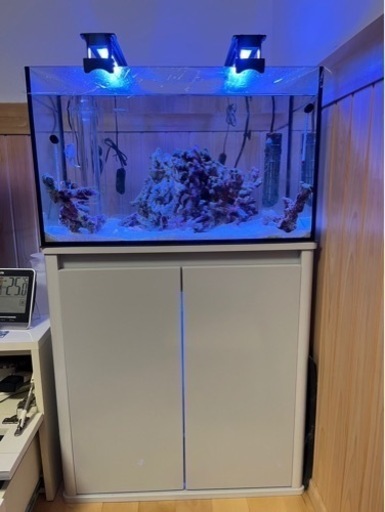 600×300×360オールガラスオーバーフロー水槽セット 中古美品