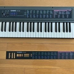 GW限定】【美品】CASIO 電子キーボード 電子ピアノ CTK-450 動作