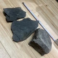 アクアリウム用の石の画像