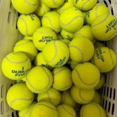 スポーツ テニス