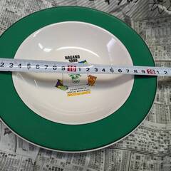 ☆長野オリンピック　お皿　ふくろう・スノーレッツ　青・緑　２枚　約２１ｃｍ　中古品　の画像