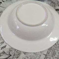 ☆長野オリンピック　お皿　ふくろう・スノーレッツ　青・緑　２枚　約２１ｃｍ　中古品　の画像