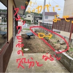 【5/10までに完了希望です】庭の整備、残置物処理