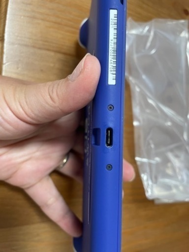 Nintendo Switch Lite ブルー　本日限定値下げ