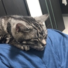 ⭐️関東圏内メンタル持ちの方集まれー⭐️ − 千葉県