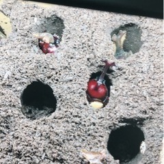 車のパーツ 外装、車外用品