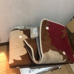 ホットカーペット