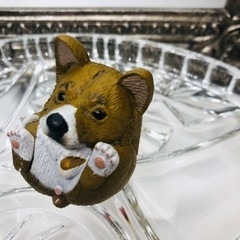 ⭐️新品⭐️ガチャ　コロリン犬　おもちゃ おもちゃ ぬいぐるみの画像