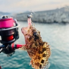 釣り仲間募集中