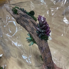 流木のハンドメイド吊り下げの画像