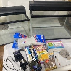 水槽 2セット　その他付属品付き
の画像