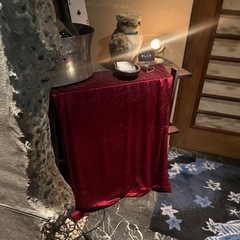 都内、神奈川近辺変わり種のお店巡りメンバー募集