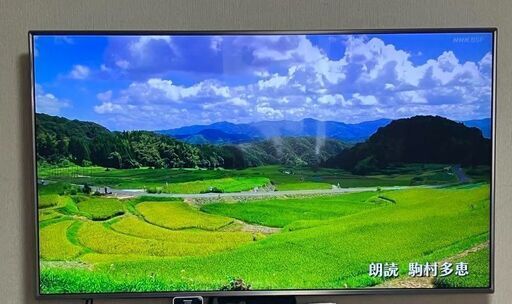 LG55インチ　液晶テレビ