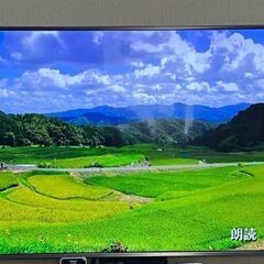 LG55インチ　液晶テレビ