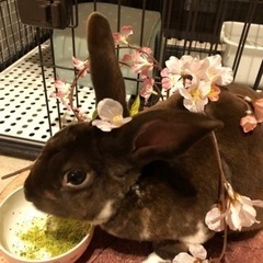 ユーチューブ仲間募集