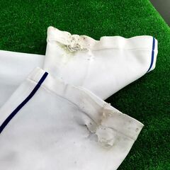 【コレ見て！コレクション】  楽天イーグルス 中日ドラゴンズ 阿部寿樹選手 実使用 ユニフォームパンツの画像