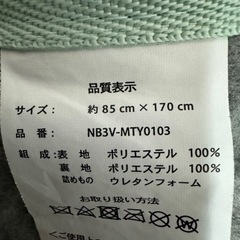 モンステラ柄ラグの画像