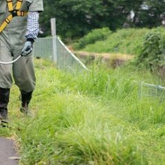 草刈り、剪定、除草剤散布、おまかせください　見積もりだけでもお待...