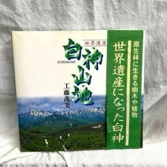 世界遺産 白神山地 写真集 自然 山 花 植物 樹木 森林 原生林