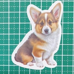 生活雑貨 家庭用品 バス用品