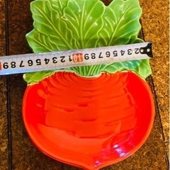 🔵家族の食卓に！見栄えも可愛いガブのお皿の画像